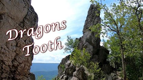 teeth holder word hike|Teeth holder Word Hike .